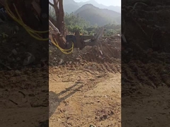 हाइड्रोलिक टाइप WuYing खुदाई मशीन Grabber, पांच पंजे लकड़ी Grabber, खुदाई के लिए सूट